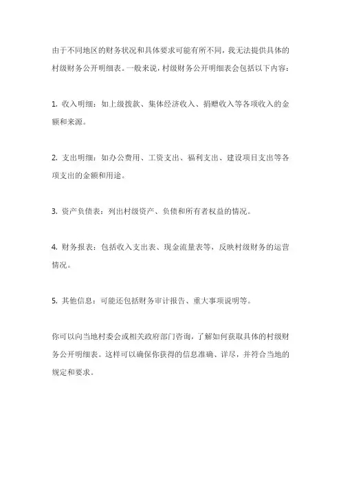 村级财务公开明细表
