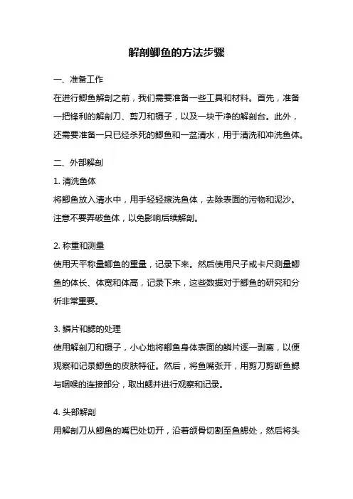 解剖鲫鱼的方法步骤
