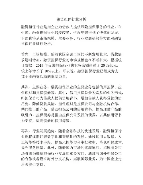 融资担保行业分析