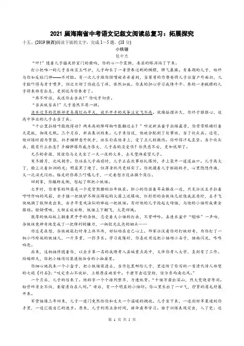 2021届海南省中考语文记叙文阅读总复习：拓展探究