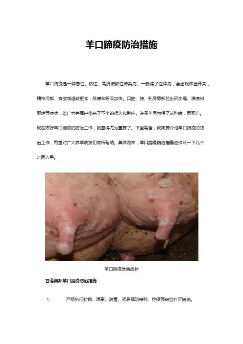 羊口蹄疫防治措施