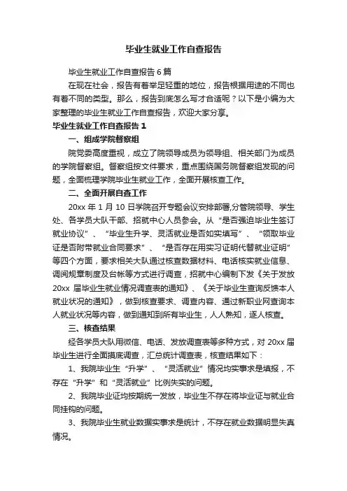 毕业生就业工作自查报告