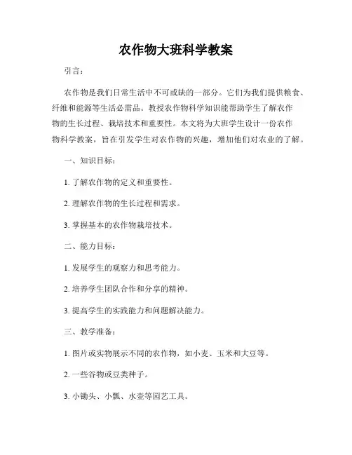 农作物大班科学教案