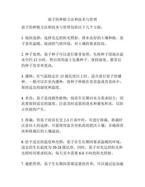 茄子的种植方法和技术与管理