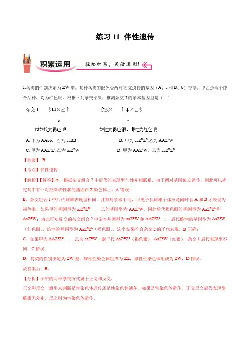 练习11 伴性遗传-高一生物(人教版2019)(解析版)