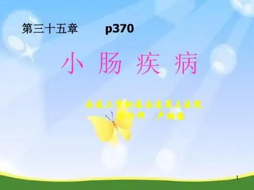 小肠疾病ppt课件