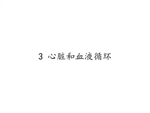五年级科学上册优秀ppt_心脏和血液循环2苏教版11张课件