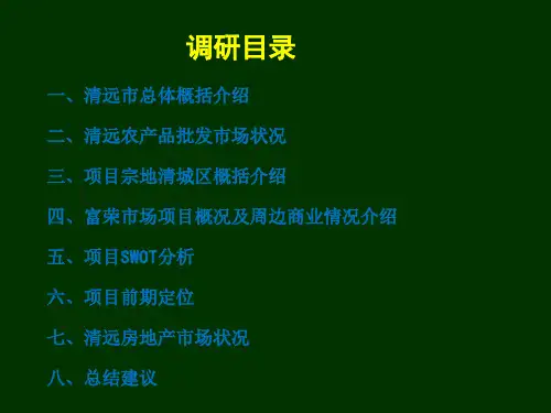 清远市富荣农副产品批发市场——可行性研究报告52p