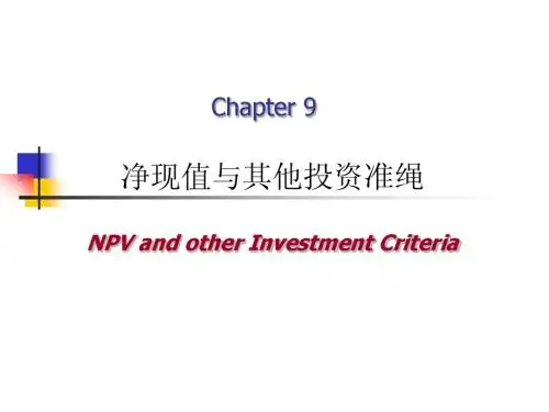 第9章 净现值与其他投资准绳