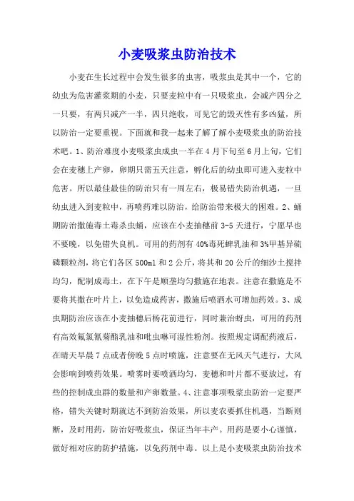 小麦吸浆虫防治技术