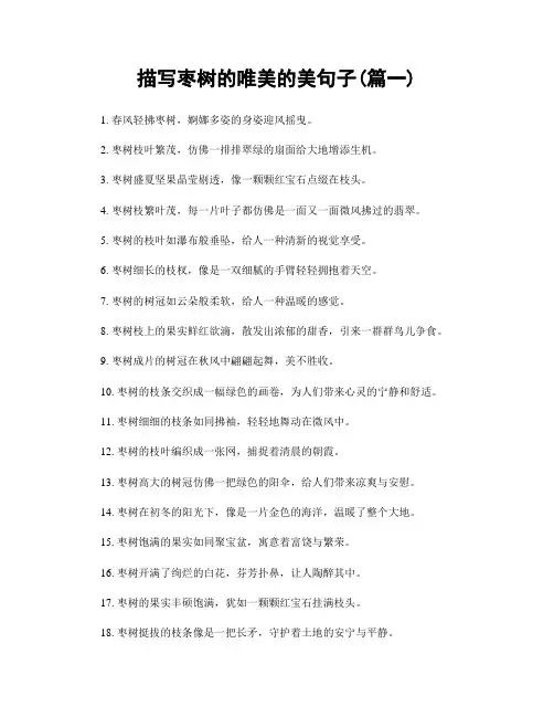 描写枣树的唯美的美句子(精选两篇)