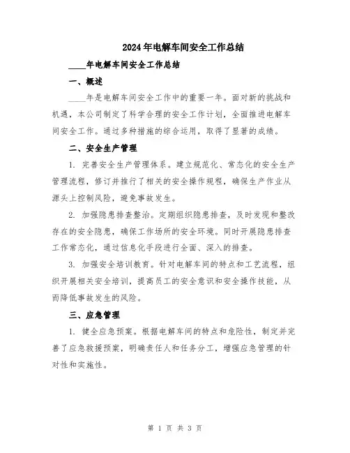 2024年电解车间安全工作总结