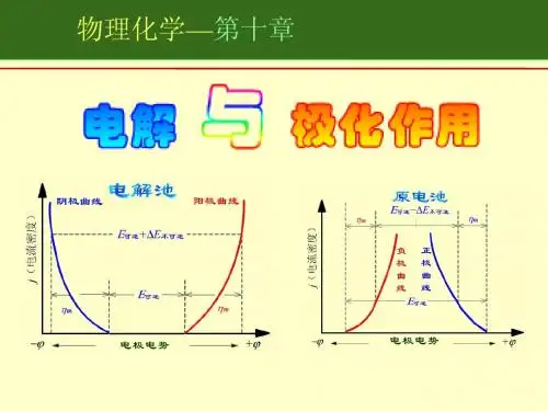 2010 第十章电解与极化作用