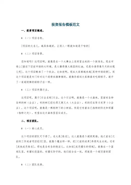 投资报告模板范文