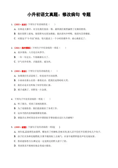 小升初语文修改病句真题练习及答案 (句子没有语病)