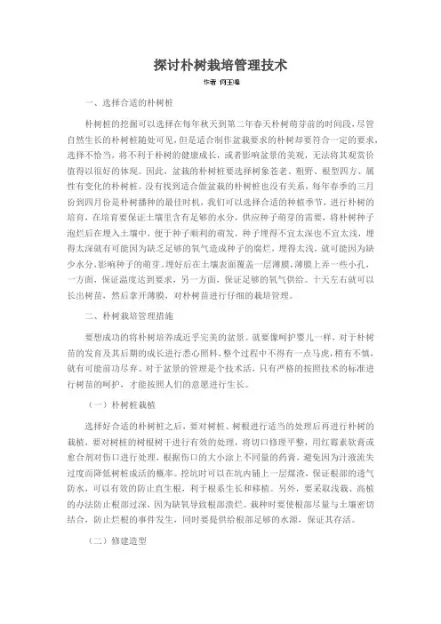 探讨朴树栽培管理技术