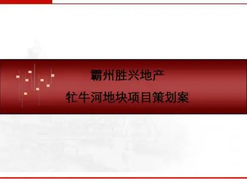 霸州地产牤牛河地块策划方案