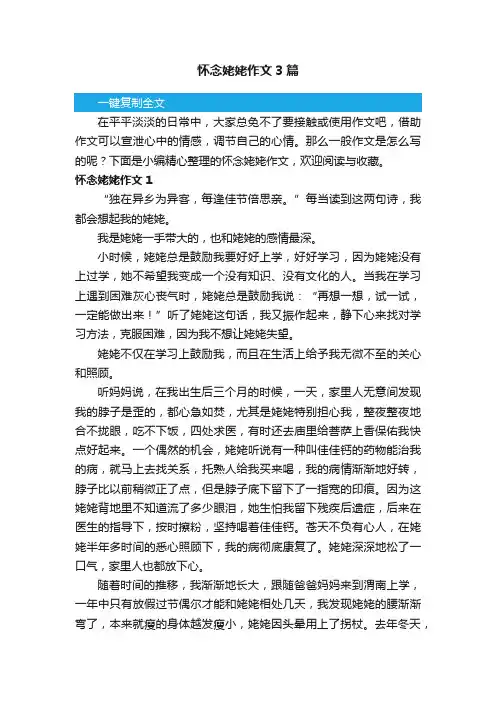 怀念姥姥作文3篇