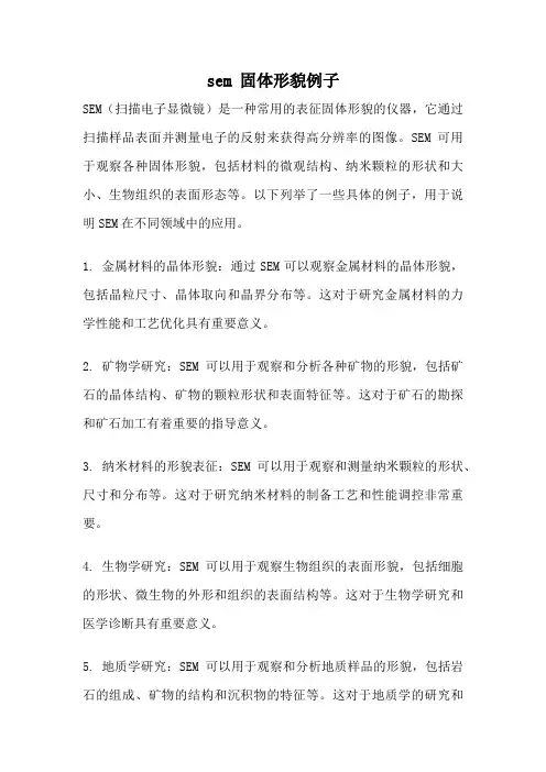 sem 固体形貌例子