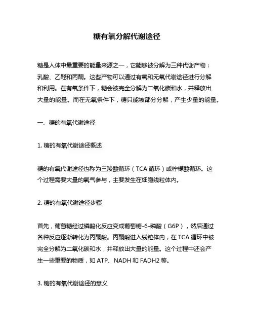 糖有氧分解代谢途径