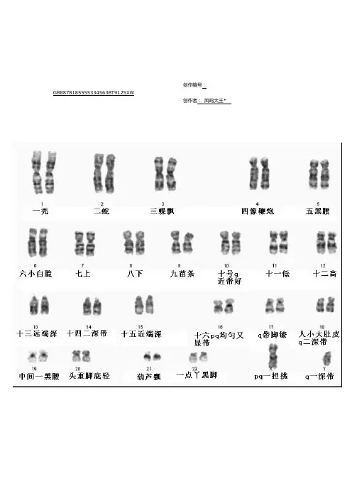 人类染色体图谱+口诀(全套46条)