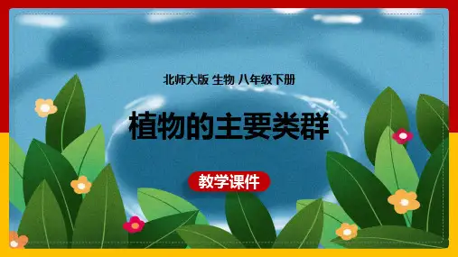 初中生物北师大版八年级下册《植物的主要类群》课件
