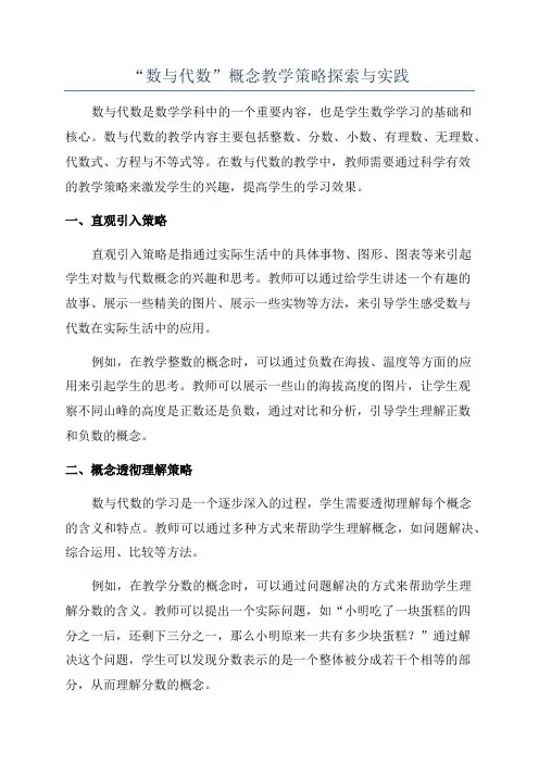 “数与代数”概念教学策略探索与实践