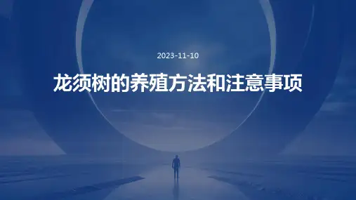 龙须树的养殖方法和注意事项