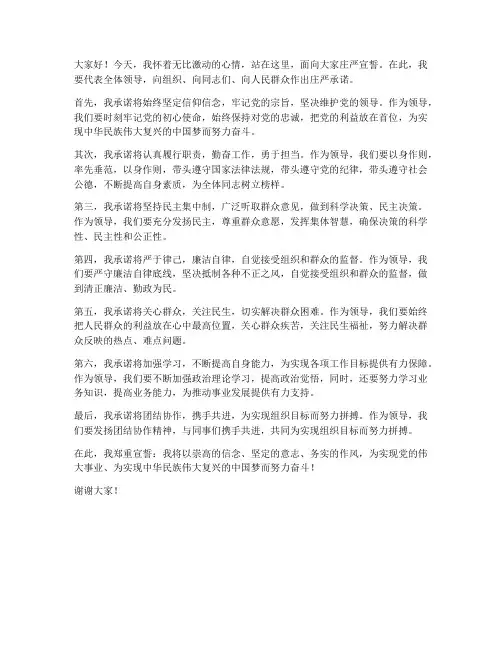 领导宣誓发言稿范文