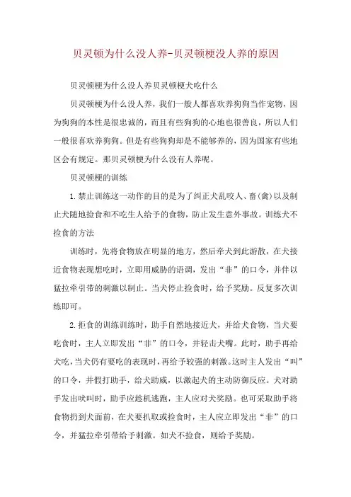 贝灵顿为什么没人养-贝灵顿梗没人养的原因