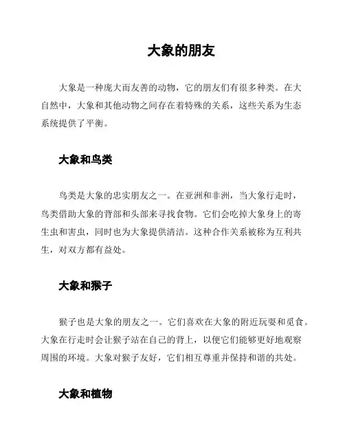 大象的朋友