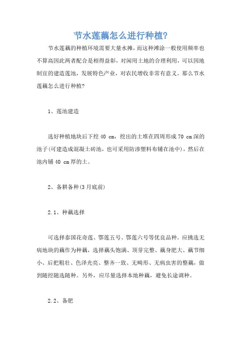 节水莲藕怎么进行种植-