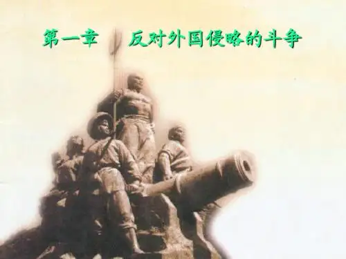 近代史  第一章反对外国侵略的斗争