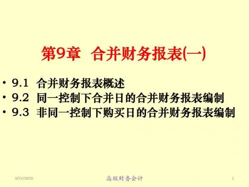 合并财务报表的编制(ppt 29页)