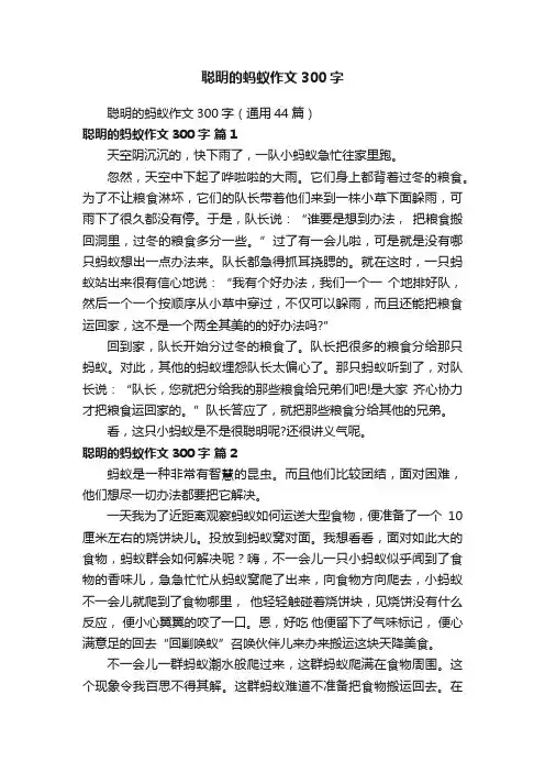 聪明的蚂蚁作文300字（通用44篇）