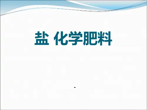 202X春湘教版化学九下单元3《盐 化学肥料》ppt课件