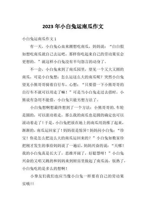 2023年小白兔运南瓜作文
