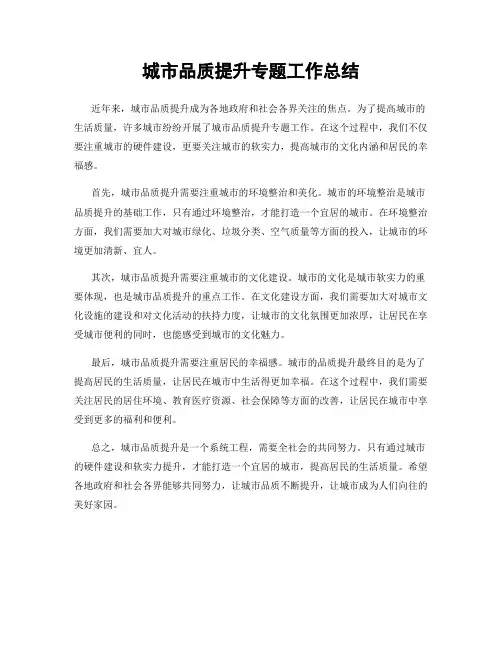 城市品质提升专题工作总结