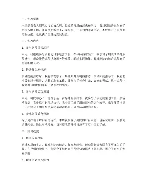 大剧院实习报告第六周