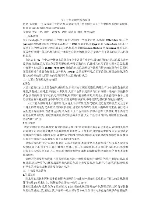 大正三色锦鲤的饲养管理