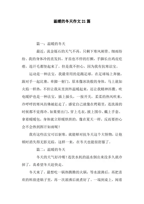 温暖的冬天作文21篇