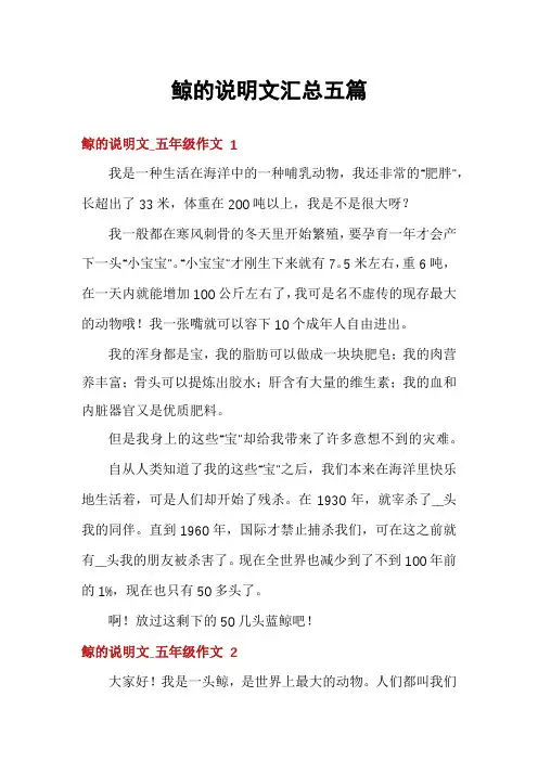 鲸的说明文汇总五篇