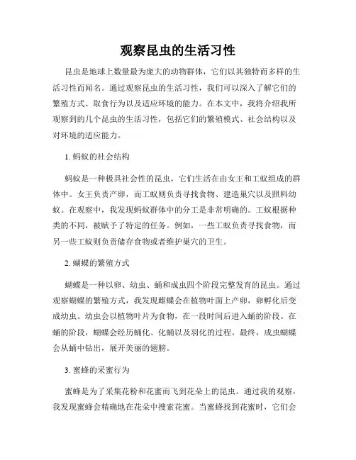 观察昆虫的生活习性