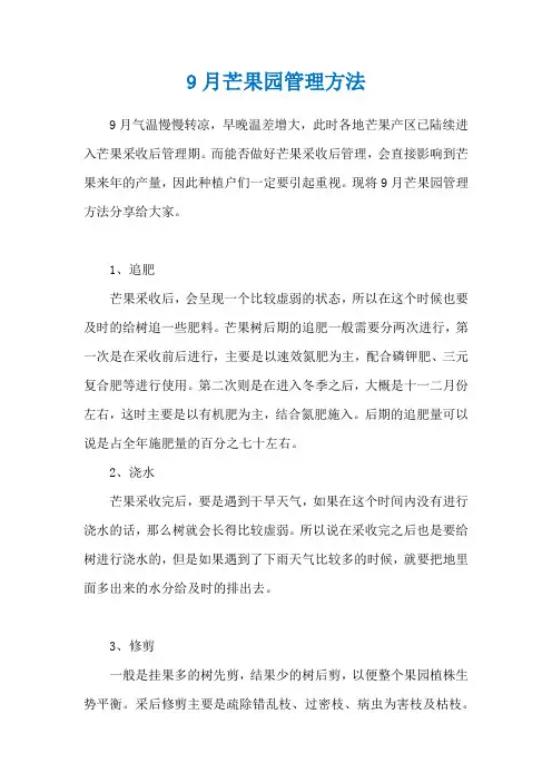 9月芒果园管理方法