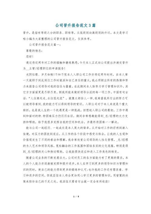 公司晋升报告范文3篇
