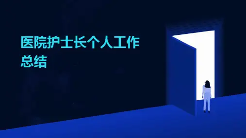医院护士长个人工作总结PPT