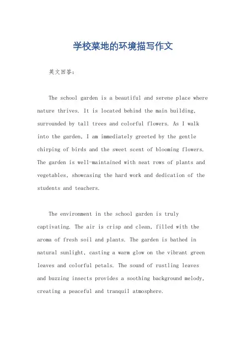 学校菜地的环境描写作文
