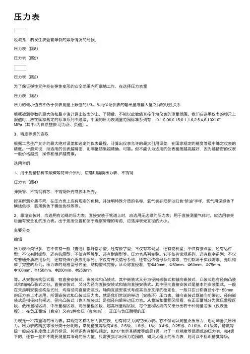 压力表——精选推荐