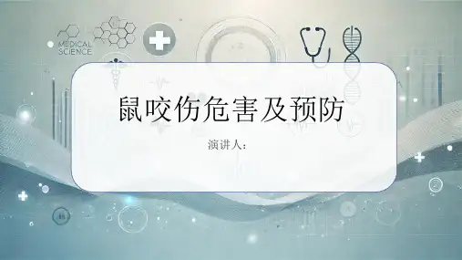 鼠咬伤危害及预防课件
