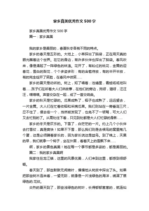 家乡真美优秀作文500字